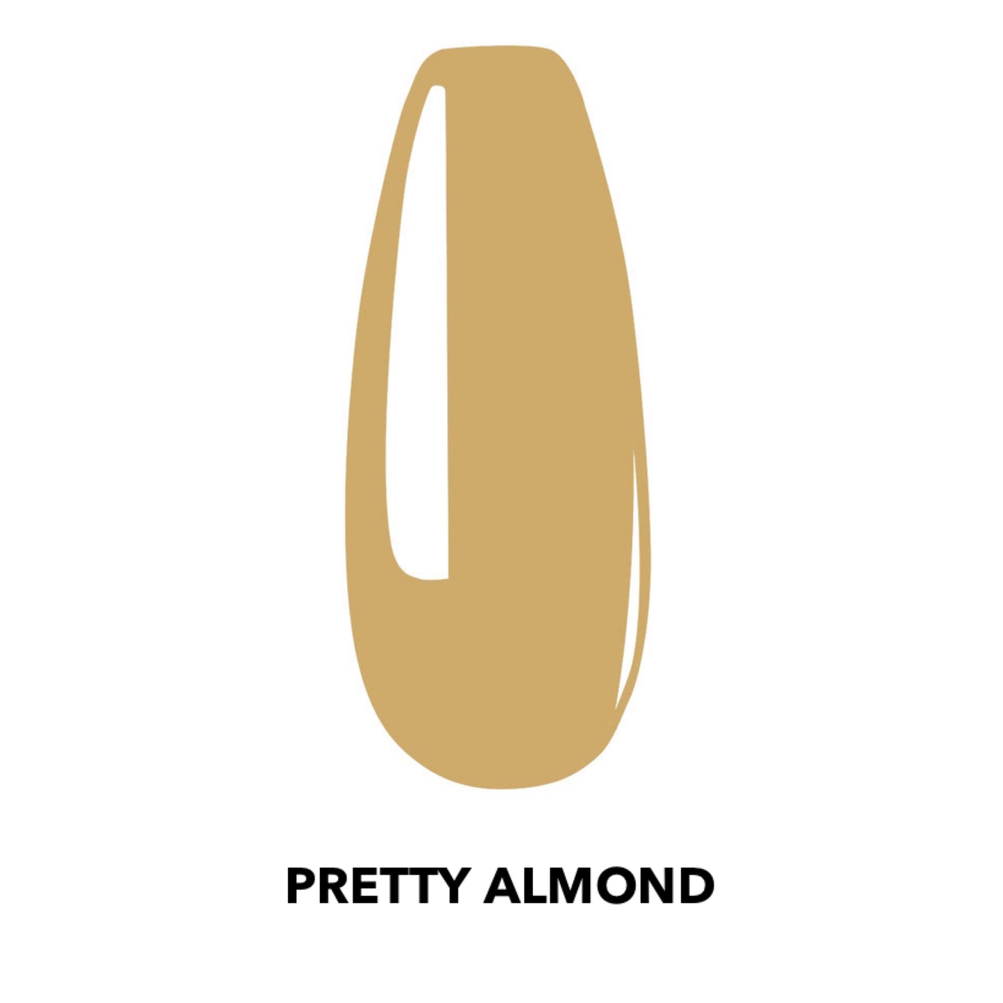 Pretty Almond - 19