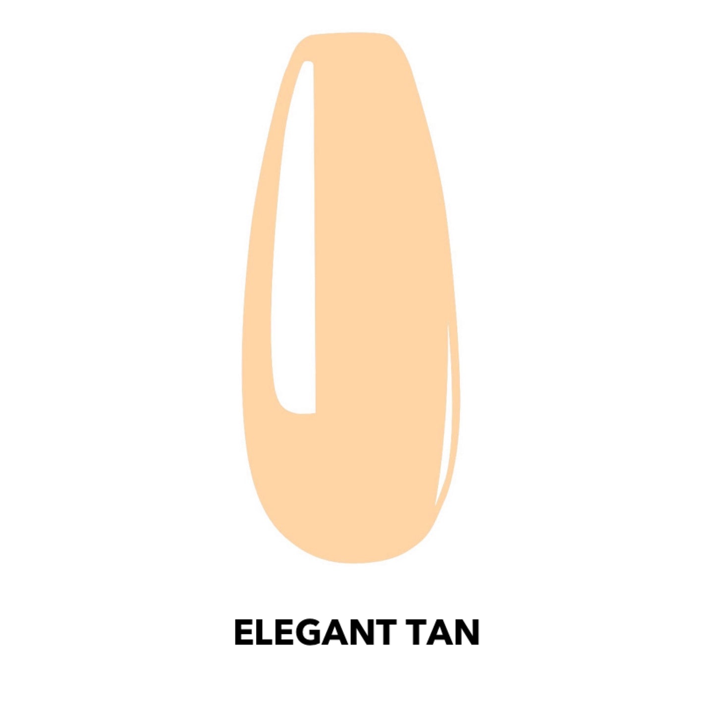 Elegant Tan - 22