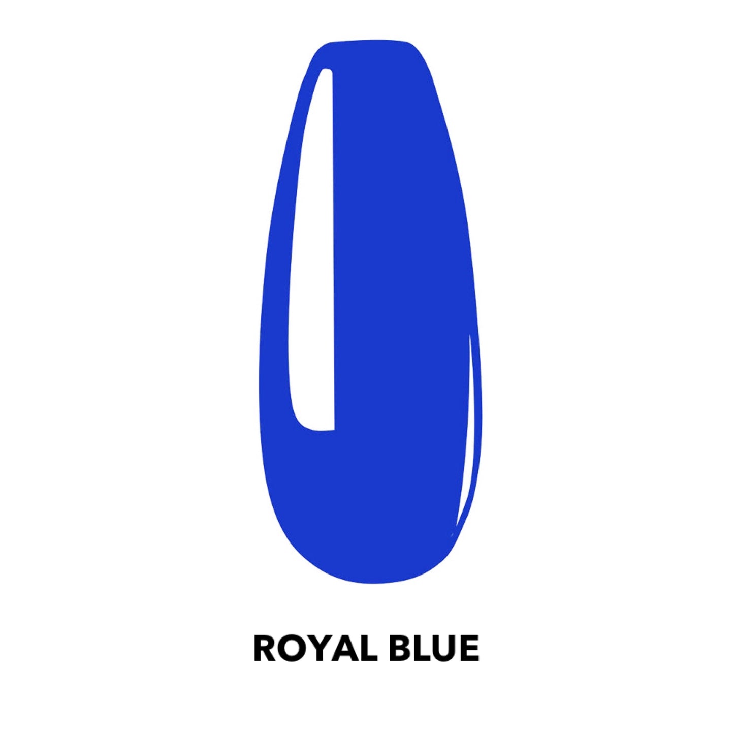 Royal Blue - 08